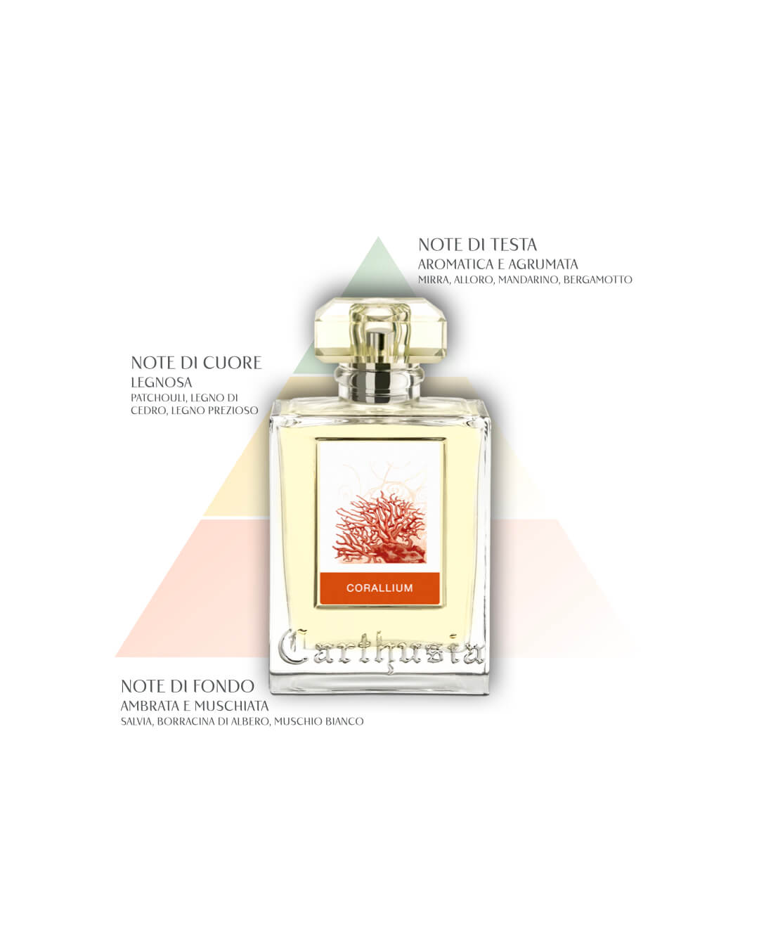 Corallium - diffusore per ambiente- 100 ml