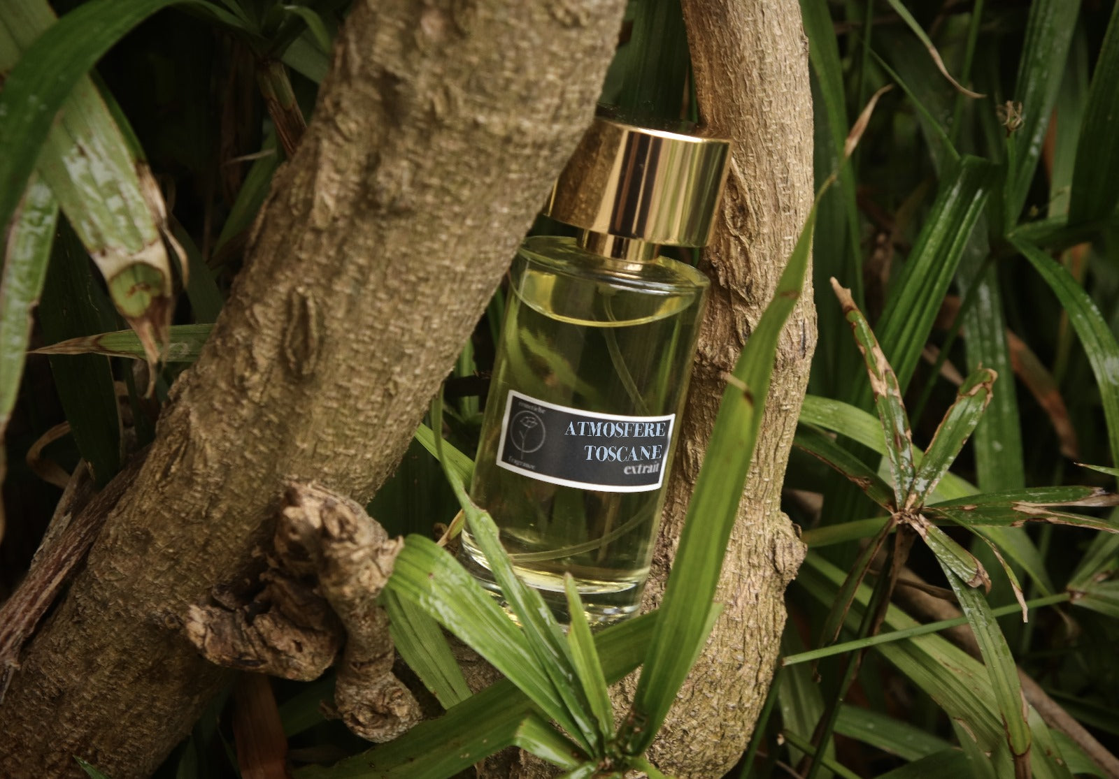 Atmosfere Toscane - Extrait de parfum 50ml