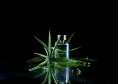BergaNote - Eau de parfum 100ml
